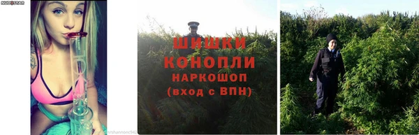дмт Балабаново