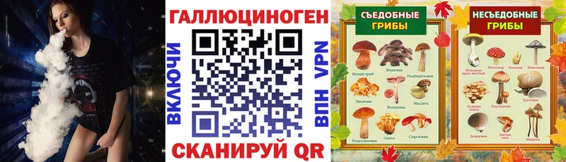 Псилоцибиновые грибы MAGIC MUSHROOMS  гидра как зайти  Можга 