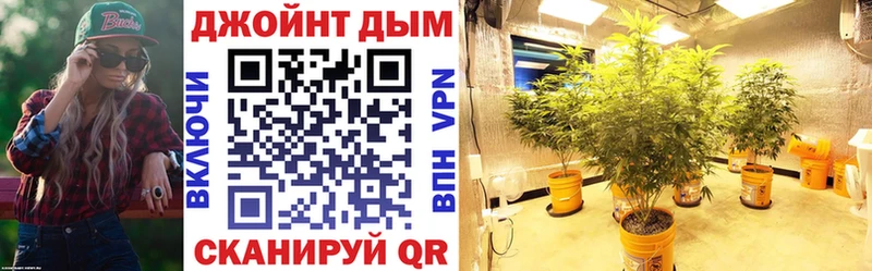 mega маркетплейс  маркетплейс как зайти  Бошки Шишки Amnesia  Можга 